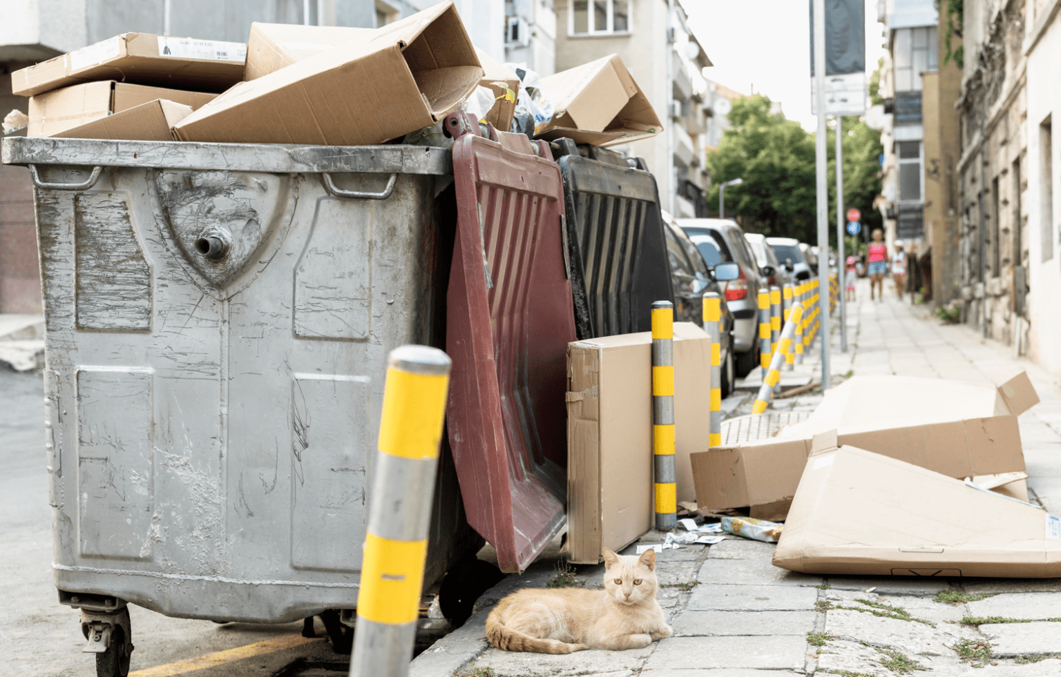 Why Dumpster Rentals Are the Secret to a Stress-Free Home Renovation
