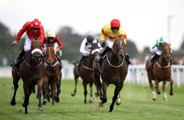 From Novice to Expert: Building a Long-Term Horse Racing Betting Strategy