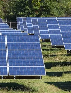 Choosing the Best Commercial Solar Panels NZ for Your Business Needs