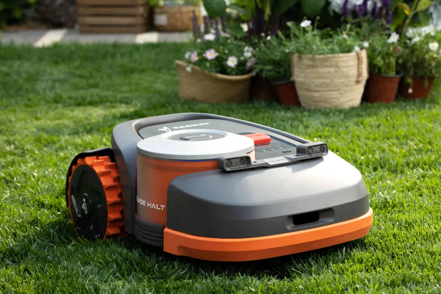 Best Robot Lawn Mower for Small Yards: Compare the Top Models Before You Buy